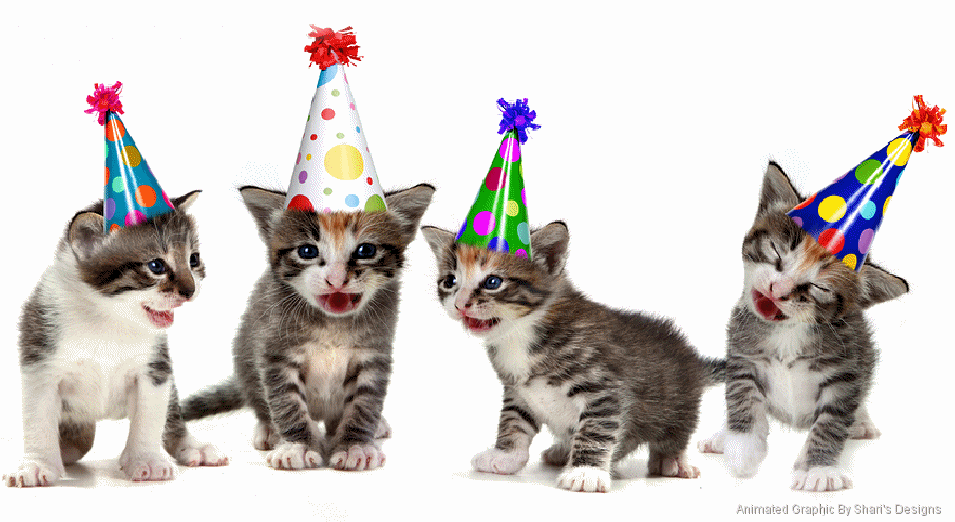 This is some intense news, so here is a picture of some kittens at a birthday party.